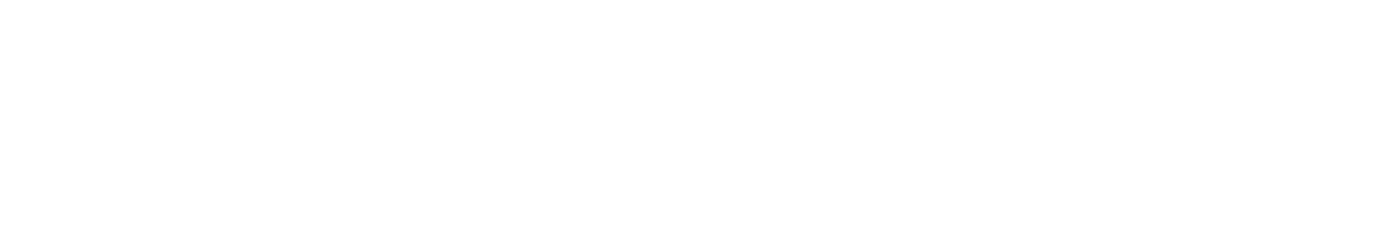 Fleet Farm logo